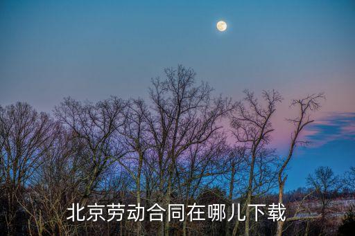 北京勞動(dòng)合同在哪兒下載