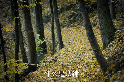 什么叫做法律，什么是法律