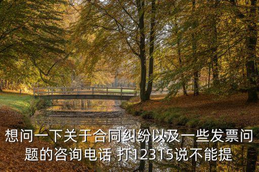 想問一下關(guān)于合同糾紛以及一些發(fā)票問題的咨詢電話 打12315說不能提