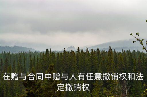 在贈(zèng)與合同中贈(zèng)與人有任意撤銷權(quán)和法定撤銷權(quán)