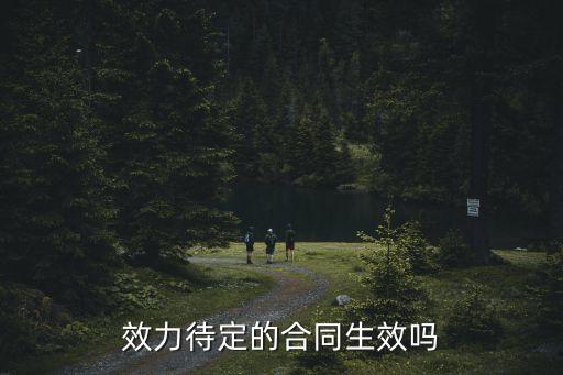 效力待定合同的合同效力，效力待定合同的后果有哪些