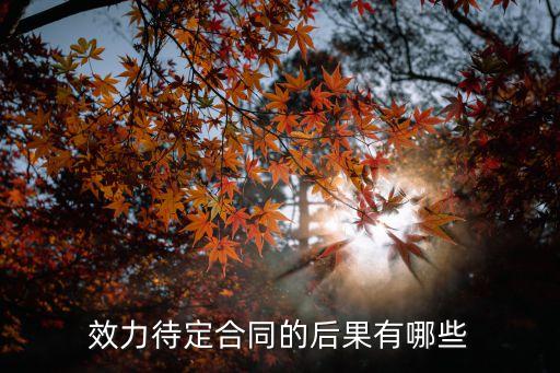 效力待定合同的后果有哪些