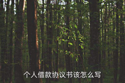 個人借款協(xié)議書該怎么寫