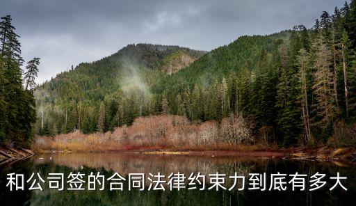 和公司簽的合同法律約束力到底有多大