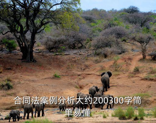 合同法簡(jiǎn)單案例，合同法案例分析大約200300字簡(jiǎn)單易懂