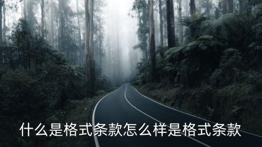 民法典格式條款，什么是格式條款
