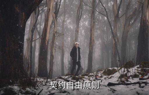 契約自由原則