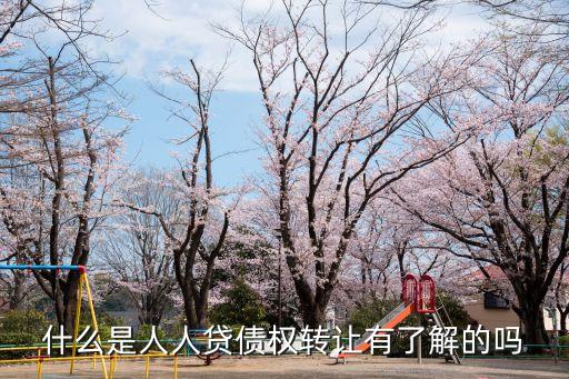 什么是人人貸債權(quán)轉(zhuǎn)讓有了解的嗎