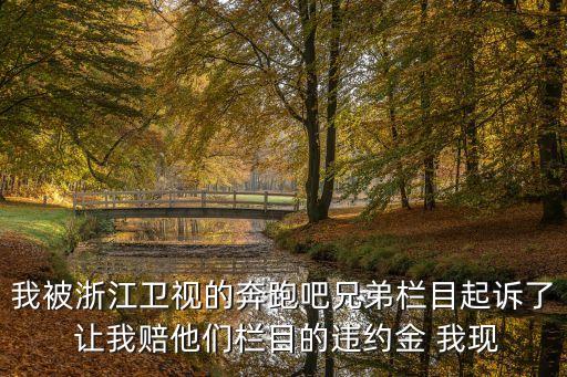 我被浙江衛(wèi)視的奔跑吧兄弟欄目起訴了 讓我賠他們欄目的違約金 我現(xiàn)