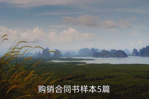 購銷合同書樣本5篇