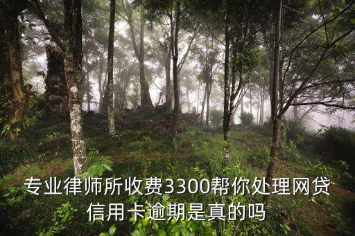 專業(yè)律師所收費(fèi)3300幫你處理網(wǎng)貸信用卡逾期是真的嗎