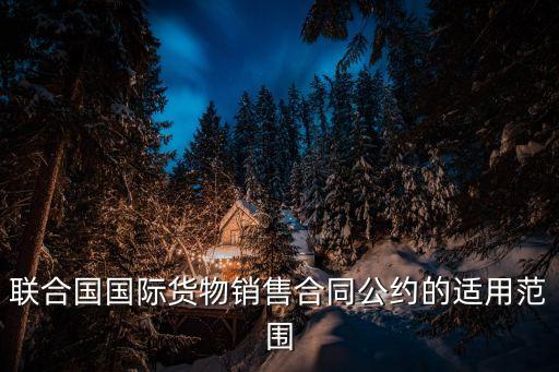 聯(lián)合國國際貨物銷售合同公約的適用范圍