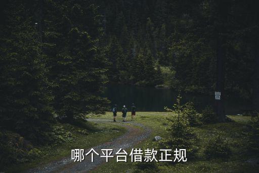 哪個(gè)平臺(tái)借款正規(guī)