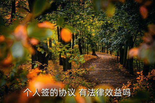 個人簽的協(xié)議 有法律效益嗎