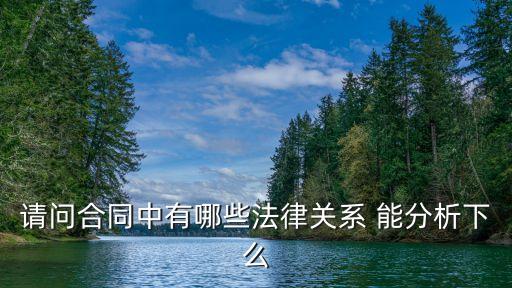請(qǐng)問合同中有哪些法律關(guān)系 能分析下么