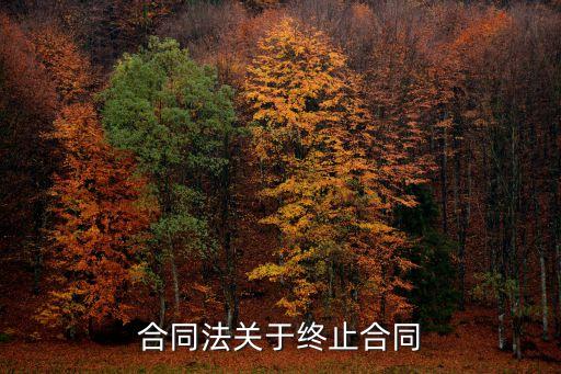 合同終止的法律規(guī)定，合同法關(guān)于終止合同
