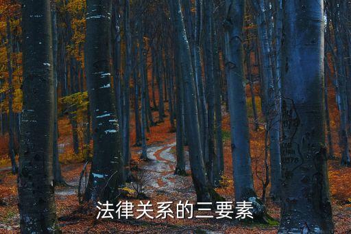法律關(guān)系的三要素