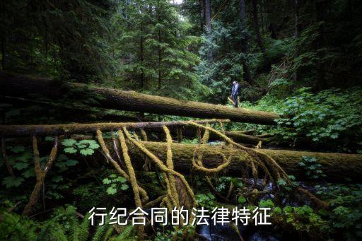 行紀合同的法律特征