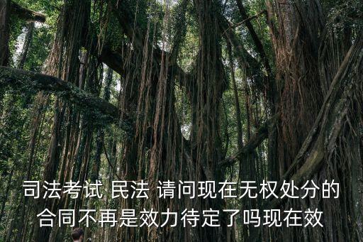 民法典關于無權(quán)處分合同的效力，無權(quán)處分的合同效力有什么后果