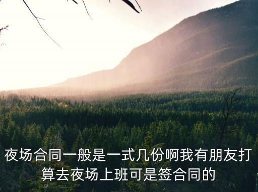 夜場合同模板，ktv保安合同怎么寫