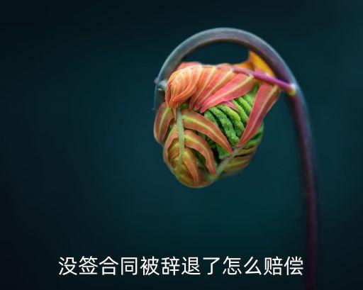 沒有簽合同被辭退有補償嗎，沒簽勞動合同被辭退有補償嗎