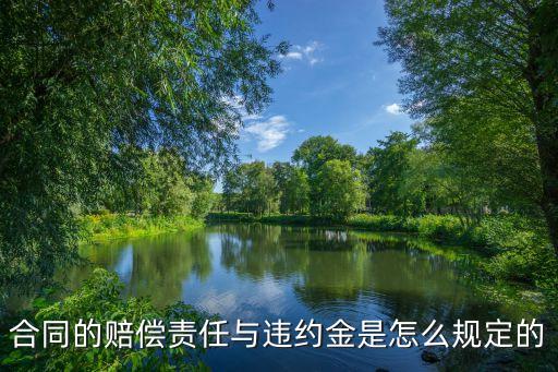 買賣合同違約金賠償標準 合同法，合同的賠償責任與違約金是怎么規(guī)定的