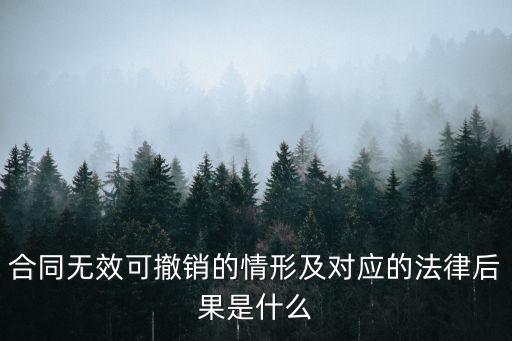 解除買賣合同無效的情形，可導(dǎo)致合同撤消的行為有哪些可導(dǎo)致合同無效的行為有哪些