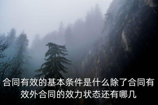 合同有效的條件民法典，合同合法的有效條件