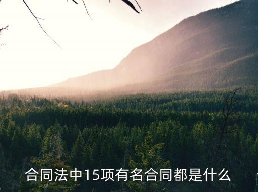 合同法中15項(xiàng)有名合同都是什么