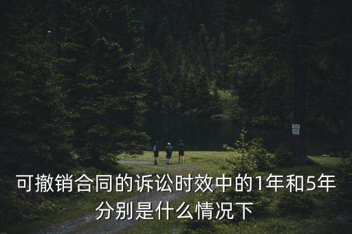 可撤銷合同的訴訟時(shí)效中的1年和5年分別是什么情況下