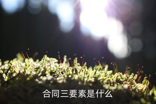 合同三要素 主體 客體，建設(shè)施工安裝合同的法律關(guān)系客體是指