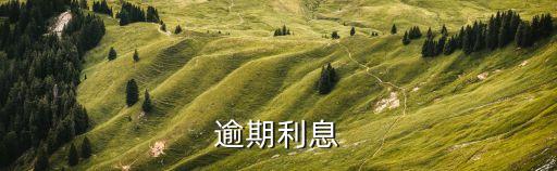 逾期利息