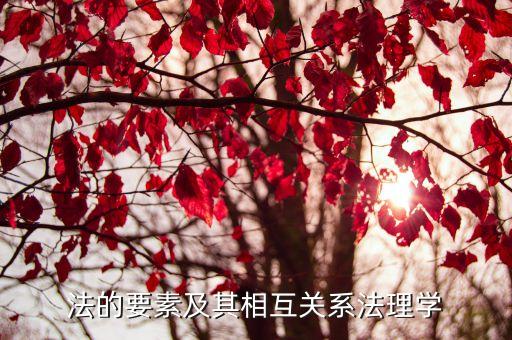 法的要素及其相互關系法理學