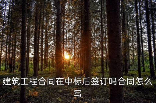 中標(biāo)后如何起草合同法律，中標(biāo)后合同由誰(shuí)擬訂