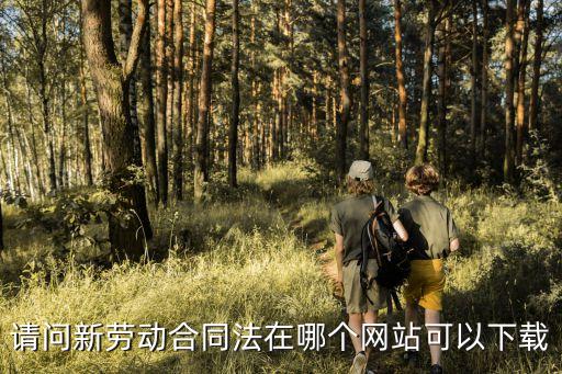請問新勞動(dòng)合同法在哪個(gè)網(wǎng)站可以下載