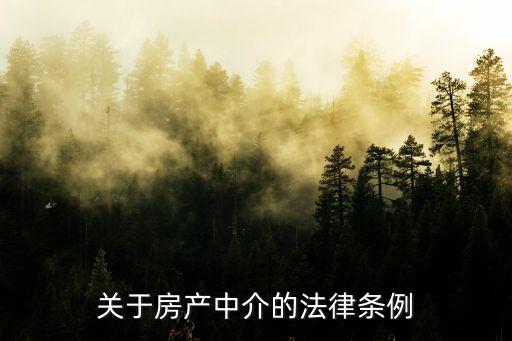 關(guān)于房產(chǎn)中介的法律條例