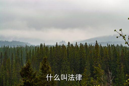 什么叫法律
