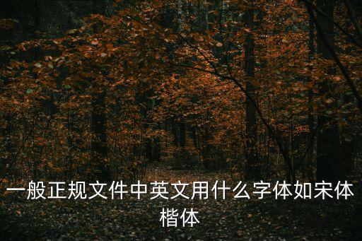一般正規(guī)文件中英文用什么字體如宋體楷體