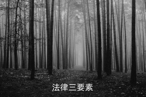 法律三要素