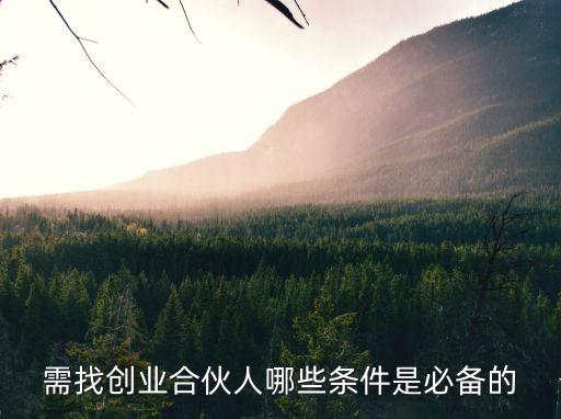 需找創(chuàng)業(yè)合伙人哪些條件是必備的