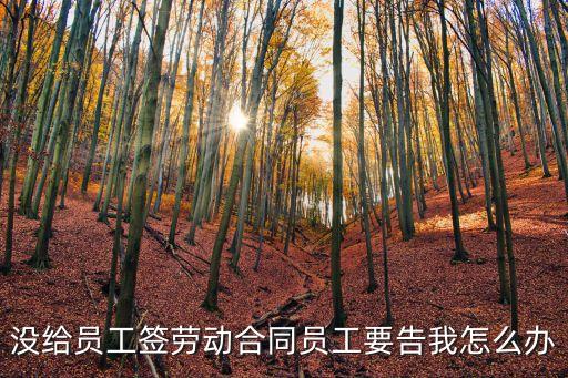 員工以沒簽合同為由告企業(yè)怎么辦，員工因為勞動合同沒有簽定告發(fā)公司如何處理