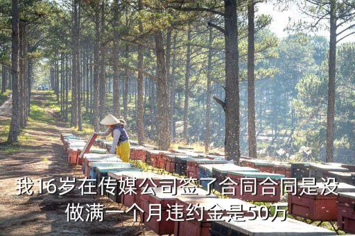 我16歲在傳媒公司簽了合同合同是沒做滿一個月違約金是50萬