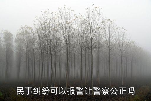 民事糾紛可以報(bào)警讓警察公正嗎