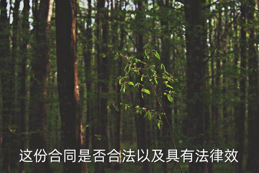 這份合同是否合法以及具有法律效
