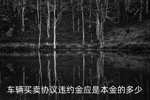 車輛買賣協(xié)議違約金應是本金的多少