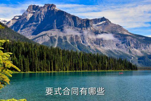 法律規(guī)定哪些要式合同，要式合同有哪些