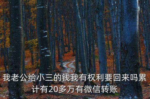我老公給小三的錢我有權(quán)利要回來嗎累計有20多萬有微信轉(zhuǎn)賬