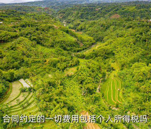 個(gè)人與個(gè)人簽訂的合同含稅嗎，合同約定的一切費(fèi)用包括個(gè)人所得稅嗎