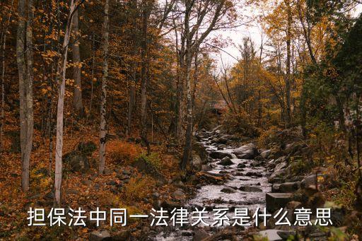 擔(dān)保法中同一法律關(guān)系是什么意思