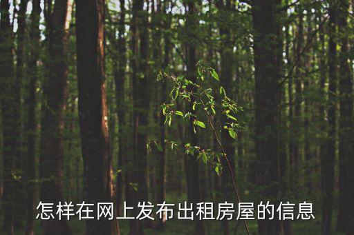 我要發(fā)布出租房信息58同城，怎樣在網上發(fā)布出租房屋的信息